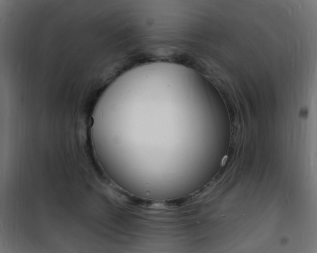 X0000101480562200807071246