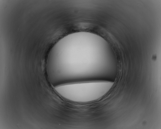 X0000101480563200807071246