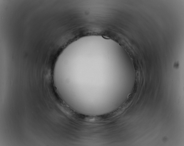 X0000101480564200807071246