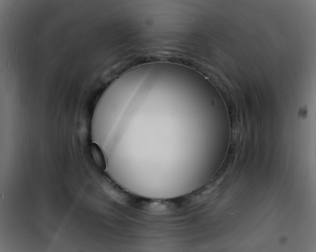 X0000101480566200807071246