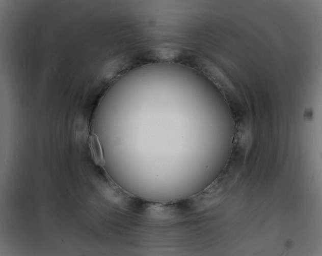X0000101480568200807071246