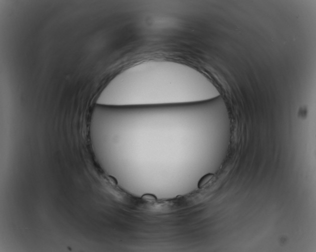 X0000101480569200807071246