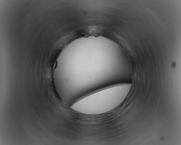 X0000101480571200807071246