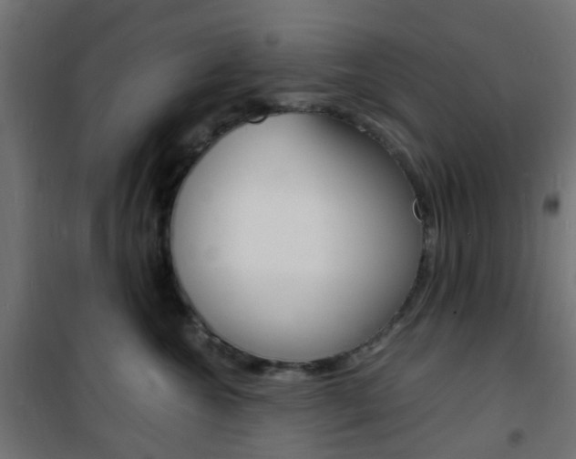 X0000101480572200807071246
