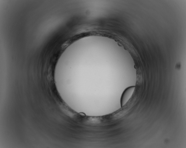 X0000101480573200807071246