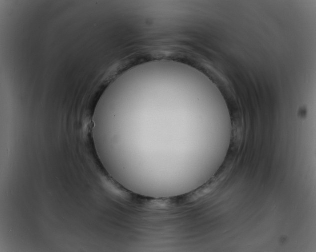 X0000101480574200807071246