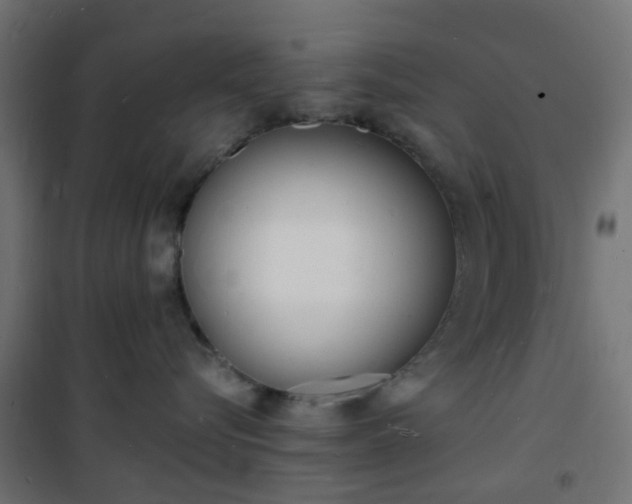 X0000101480576200807071246