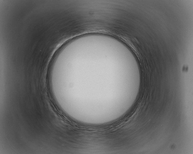 X0000101480579200807071245