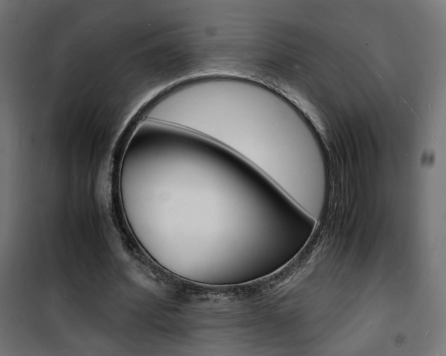 X0000101480580200807071245