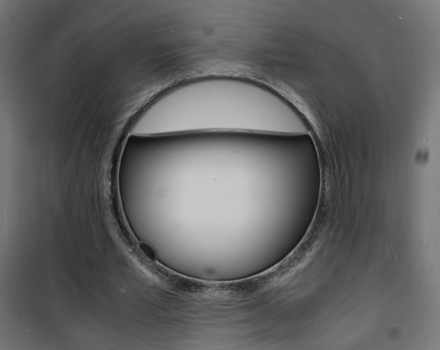 X0000101480581200807071245