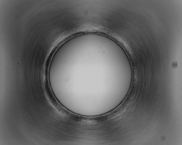 X0000101480582200807071245