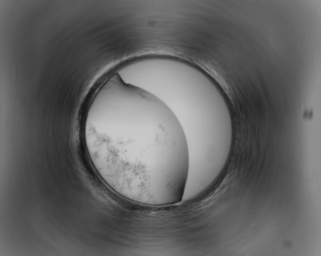 X0000101480584200807071245