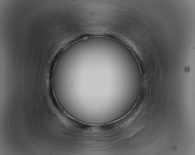 X0000101480589200807071245