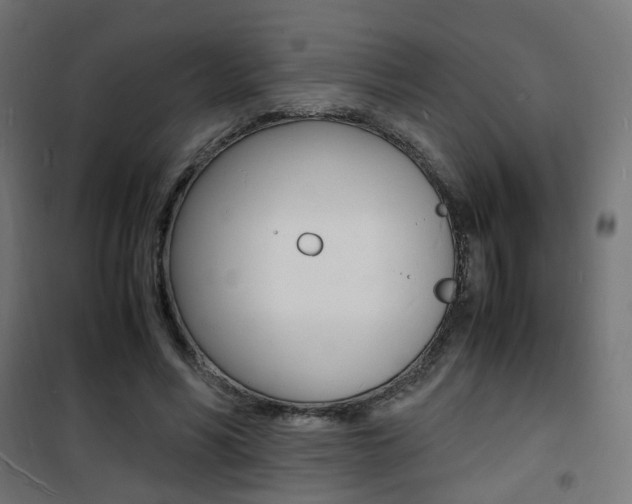 X0000101480590200807071245