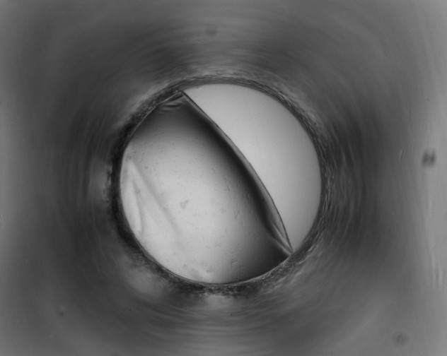 X0000101480592200807071245
