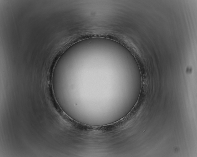 X0000101480593200807071245