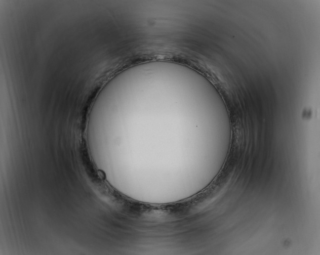 X0000101480594200807071245