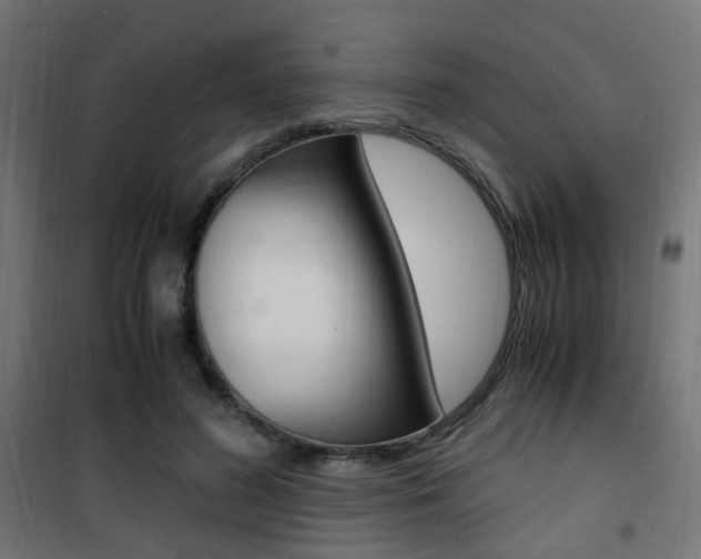 X0000101480596200807071245