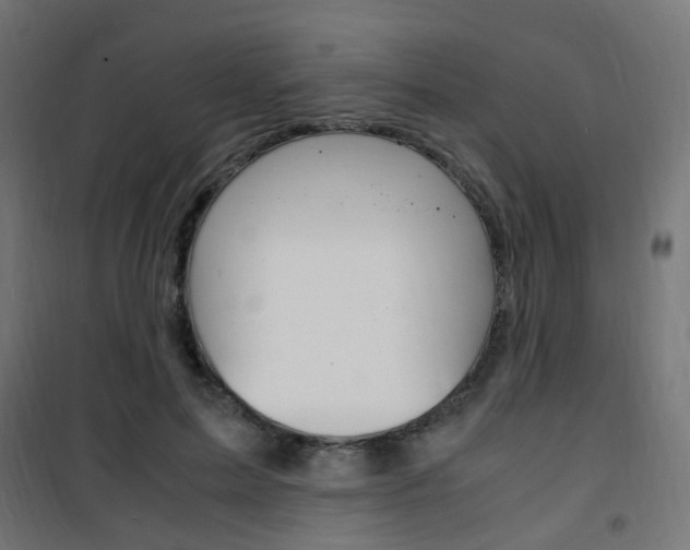 X0000101480599200807071245