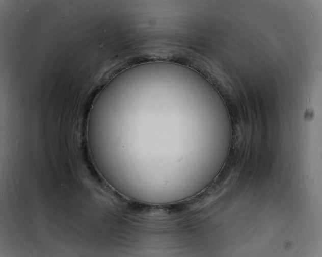 X0000101480600200807071245