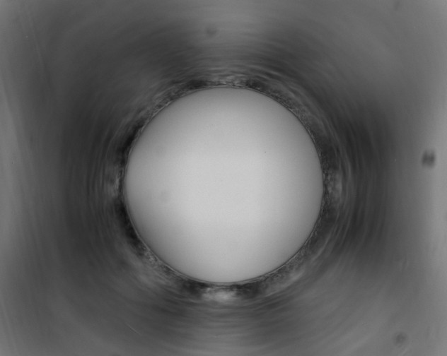 X0000101480602200807071245