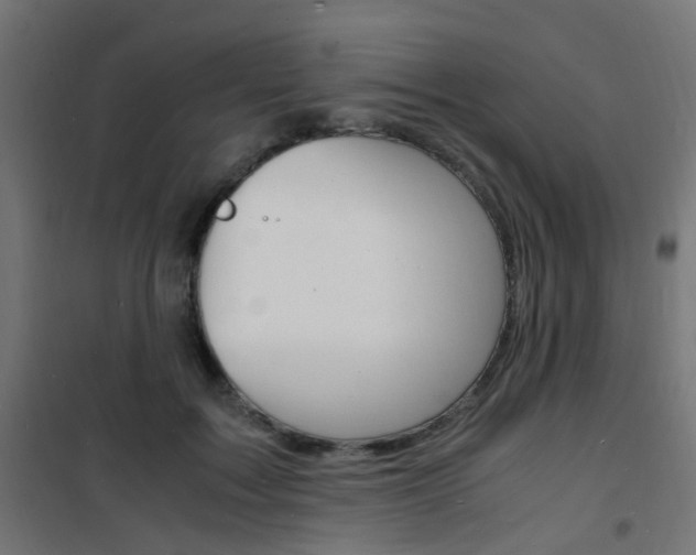 X0000101480603200807071245