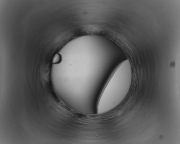 X0000101480604200807071245