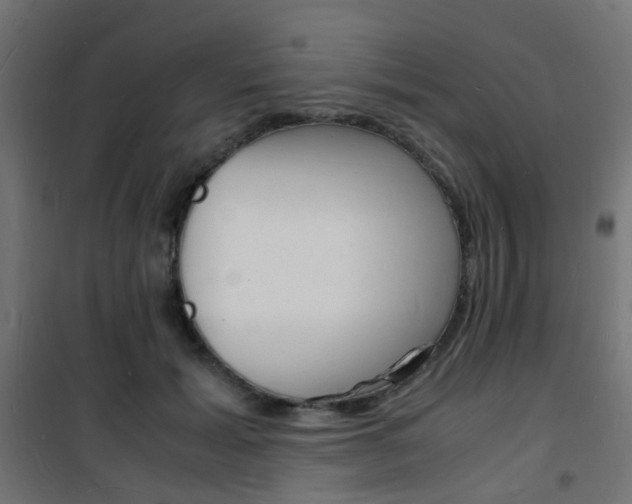 X0000101480605200807071245