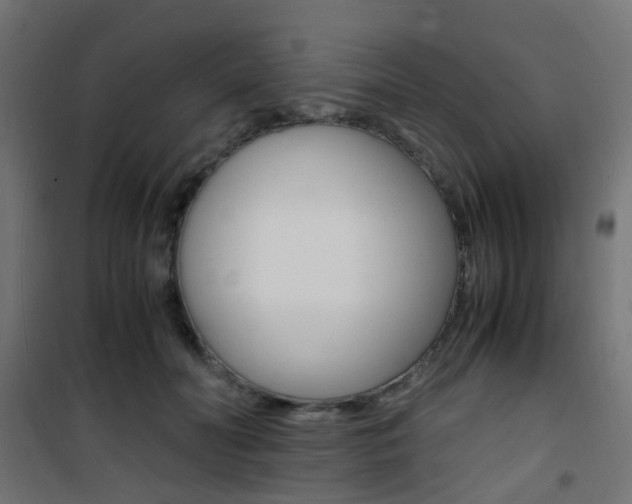 X0000101480606200807071245