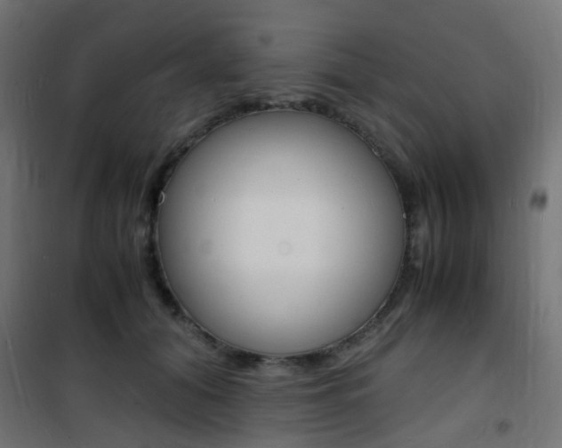 X0000101480608200807071245