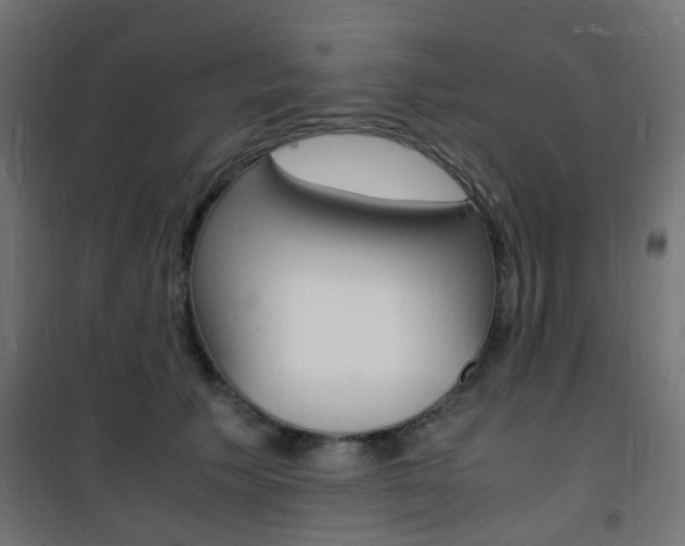 X0000101480609200807071245