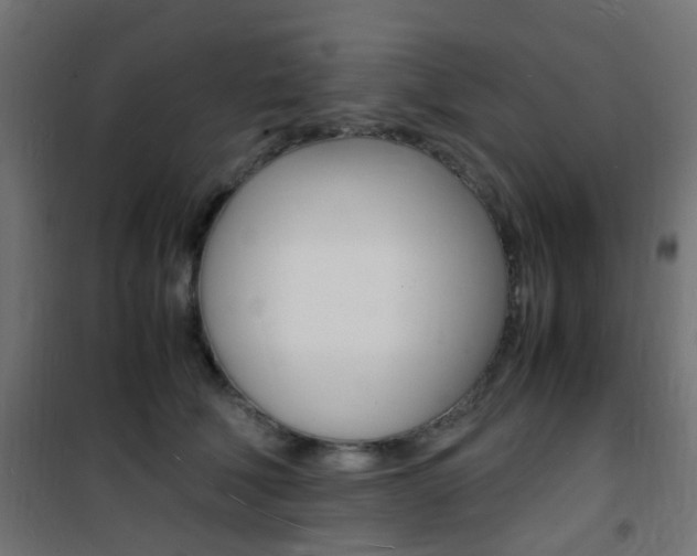 X0000101480610200807071244