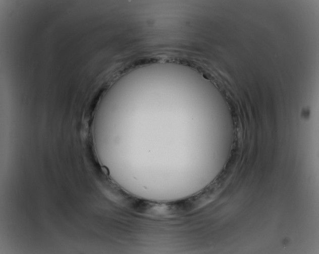 X0000101480611200807071244