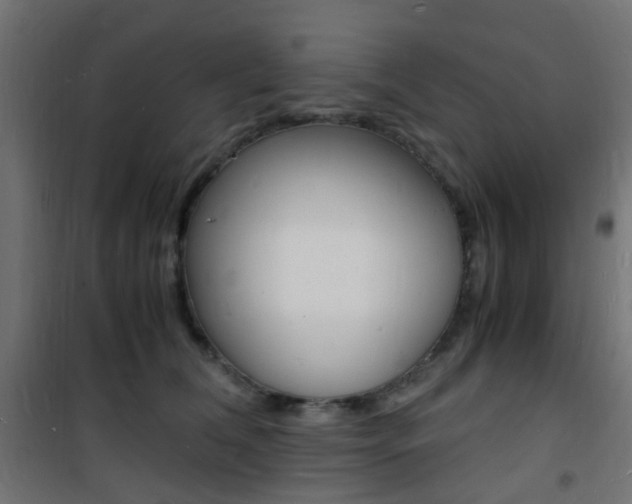X0000101480612200807071244