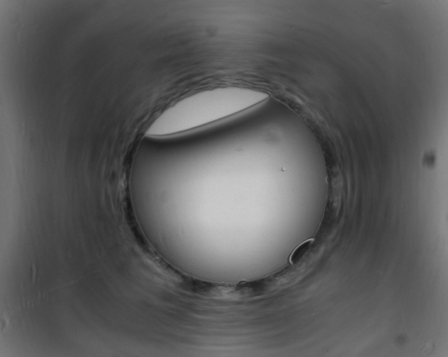 X0000101480613200807071244