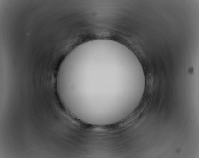 X0000101480614200807071244