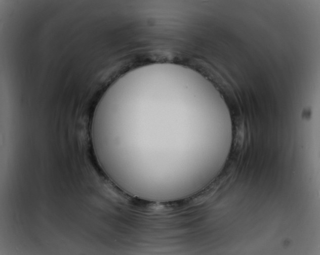X0000101480616200807071244