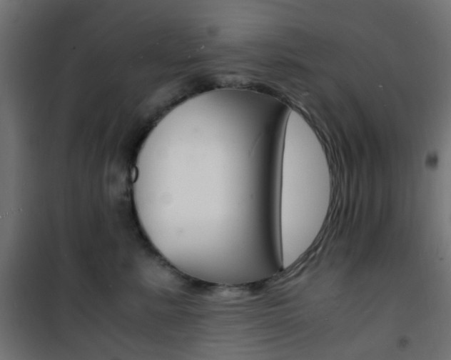 X0000101480619200807071244