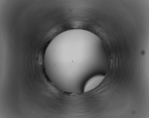 X0000101480620200807071244