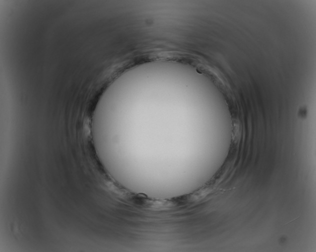 X0000101480621200807071244
