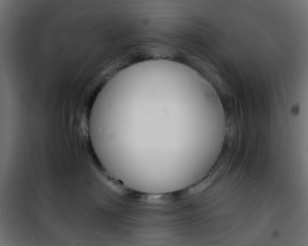 X0000101480622200807071244