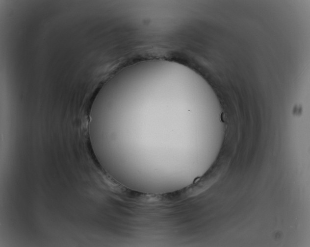 X0000101480624200807071244