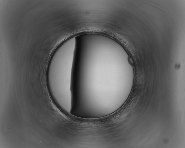 X0000101480625200807071244