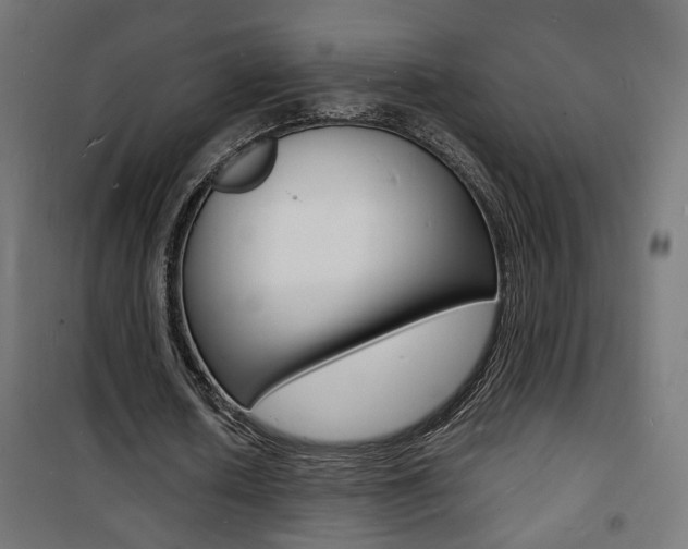 X0000101480626200807071244