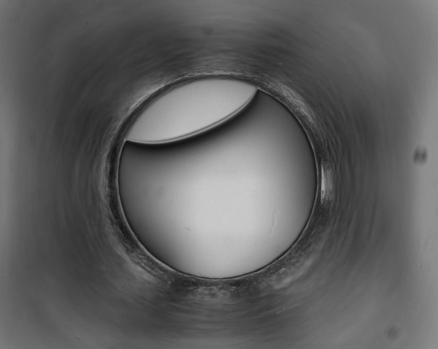 X0000101480627200807071244