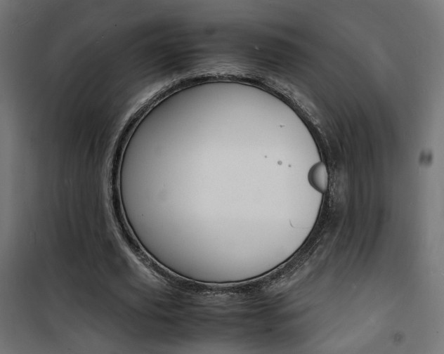X0000101480629200807071244