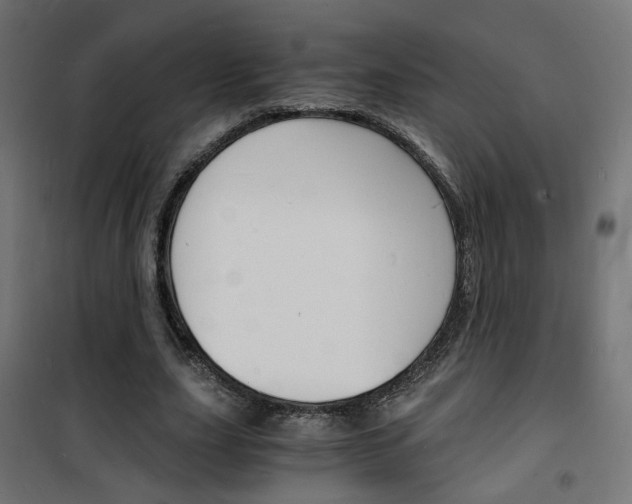 X0000101480631200807071244