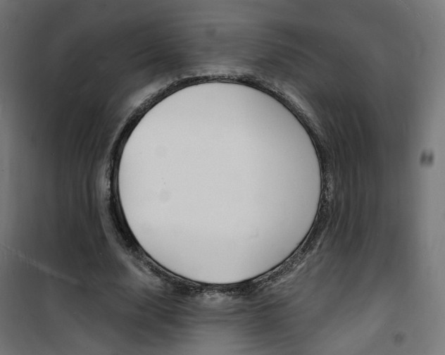 X0000101480632200807071244