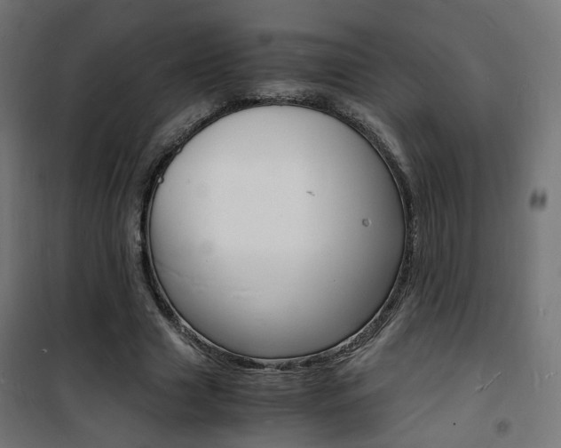 X0000101480633200807071244