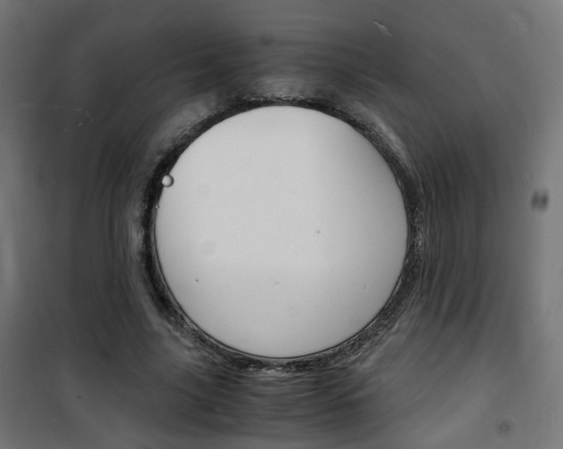 X0000101480635200807071244